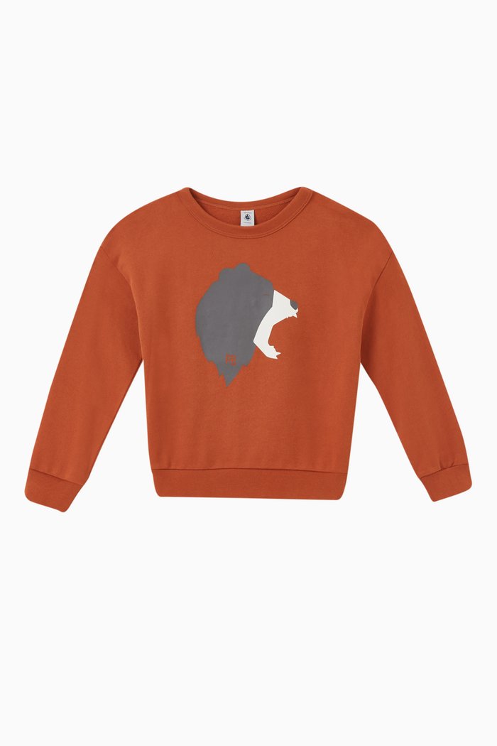 

Graphic Print Sweatshirt in Cotton, Brown