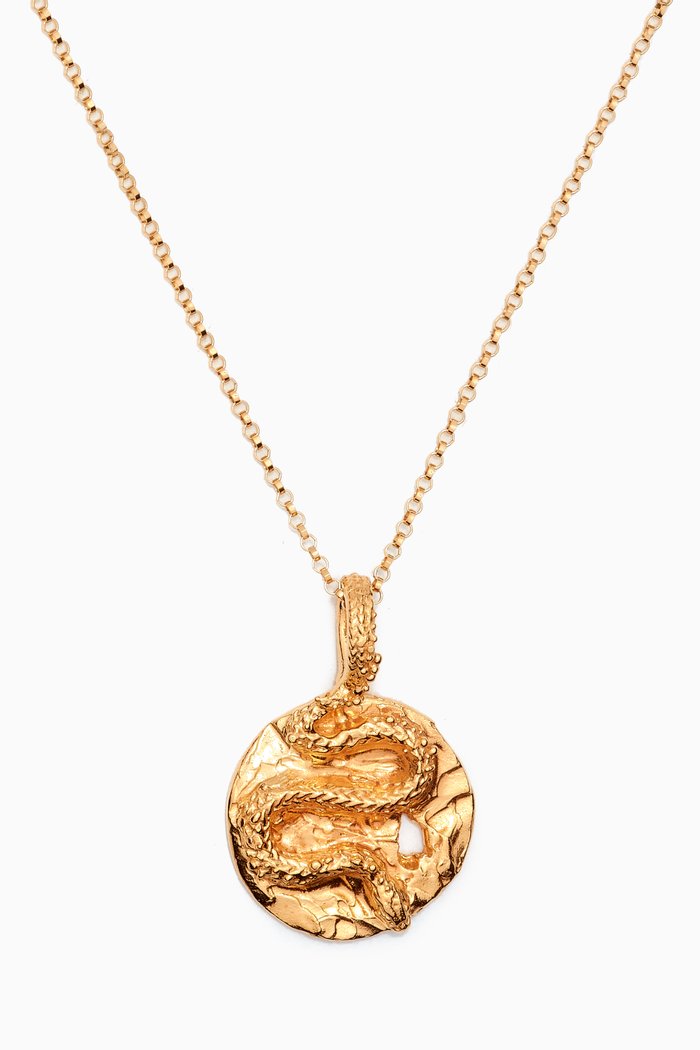 

The Medusa Medallion Necklace in 24kt Gold-plated Bronze