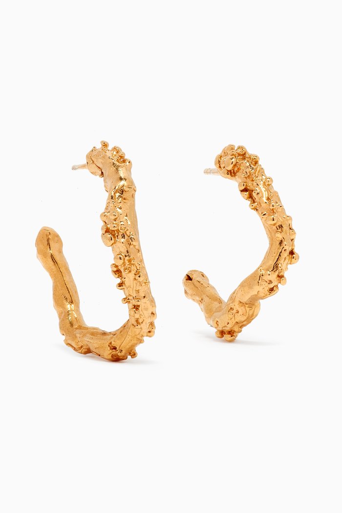 

The Lunar Rocks Hoop Earrings in 24kt Gold-plated Bronze