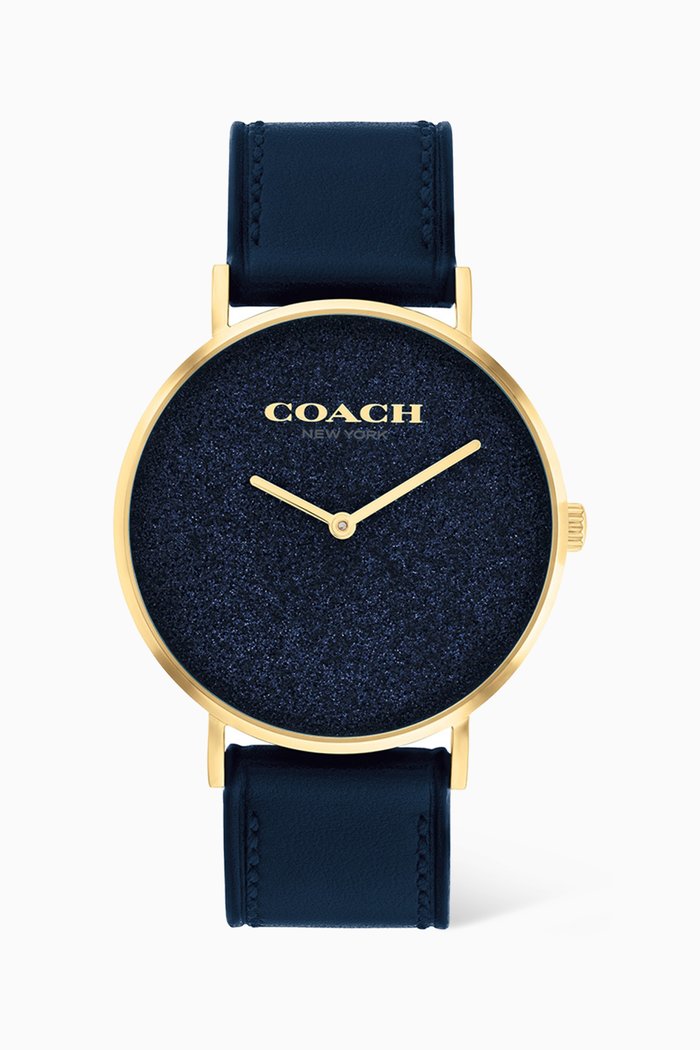 

Perry Quartz Stainless Steel & Leather Watch, 36mm, Blue