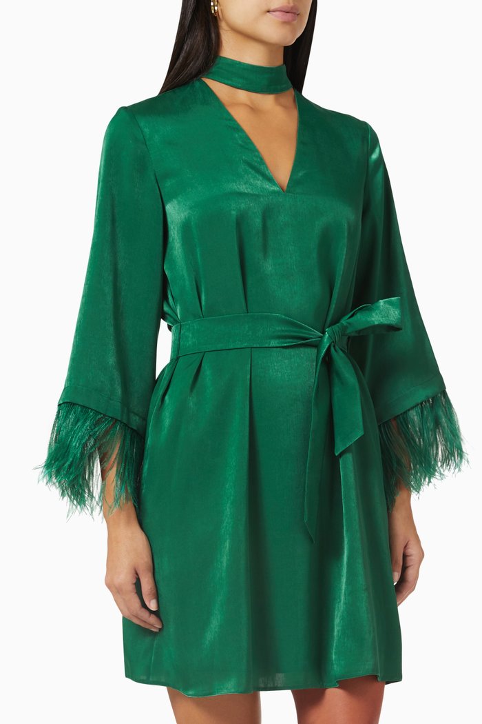 

Egizio Feather Mini Dress in Satin, Green