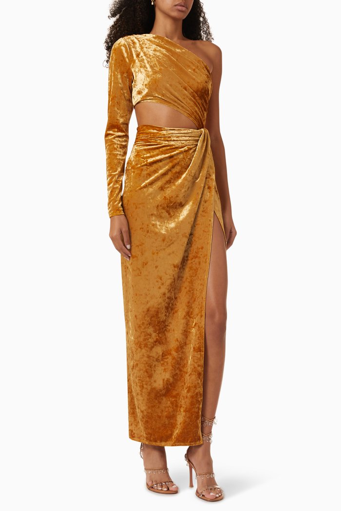 

Lorinna Maxi Dress in Velvet, Brown