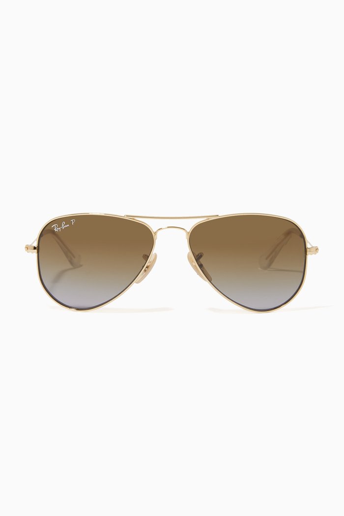 

Arista Sunglasses in Metal, Gold