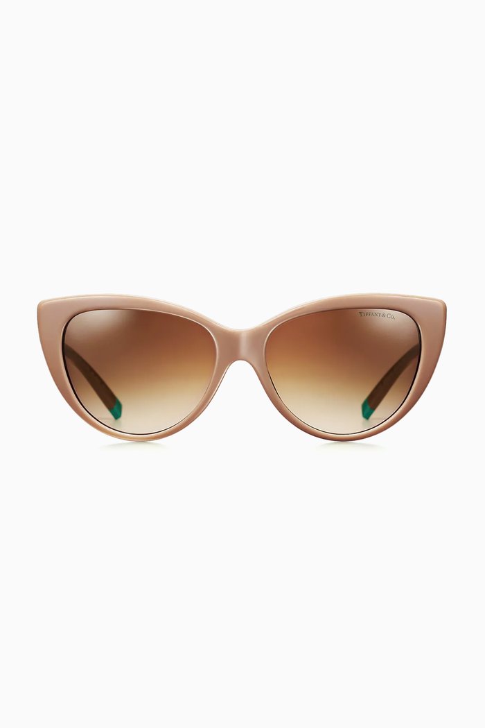 

T Collection Cat-eye Sunglasses in Acetate, Brown