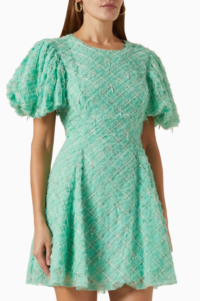 

Context Embellished Mini Dress in Organza, Green