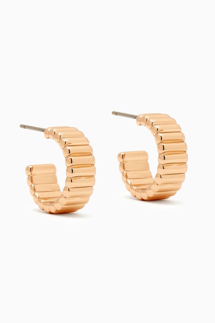 

Luxe Chubbie Earrings in Gold-plated Metal