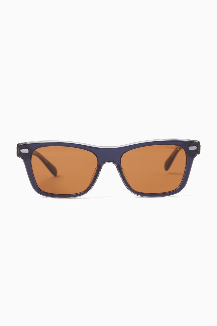

D-frame Sunglasses in Acetate, Brown