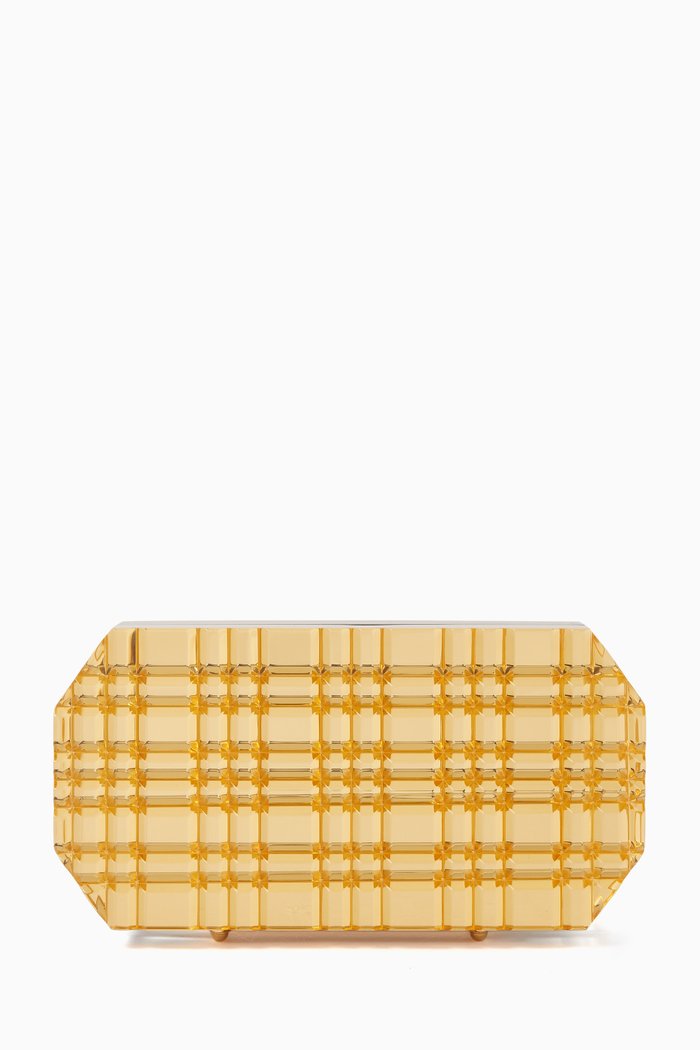 

Sierra Clutch in Acrylic, Gold