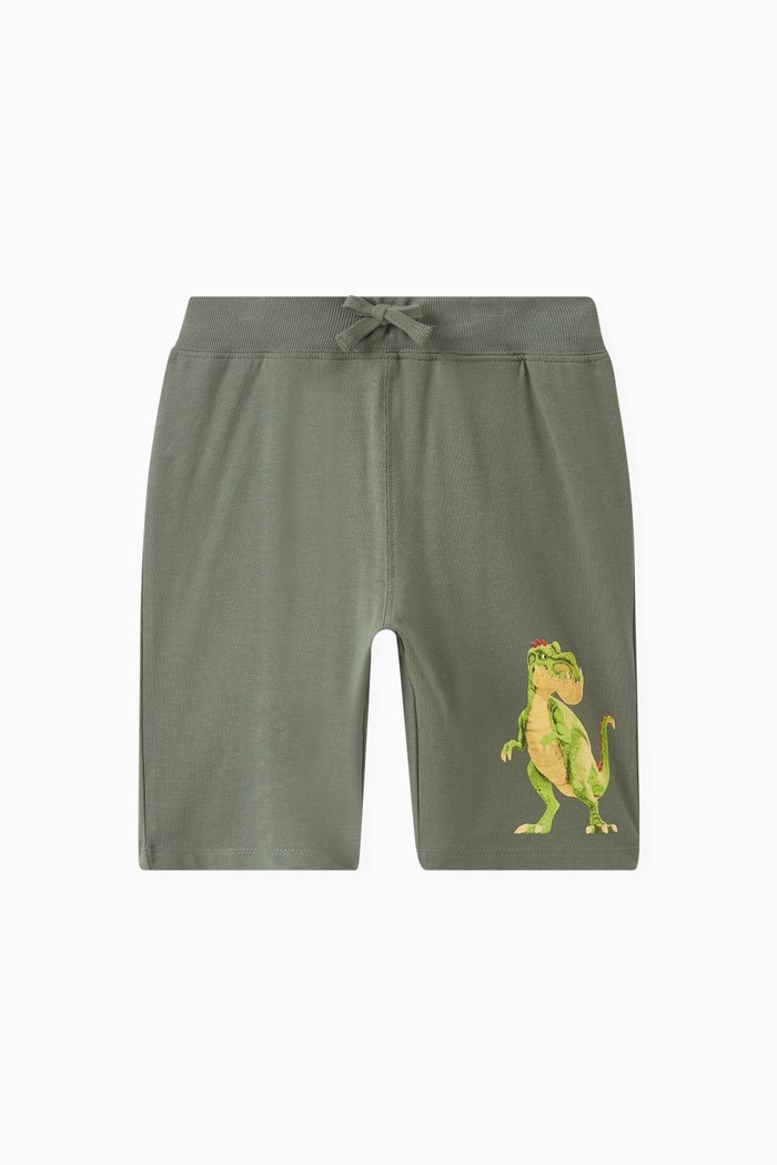 

Gigantosaurus Shorts in Cotton Jersey, Multicolour