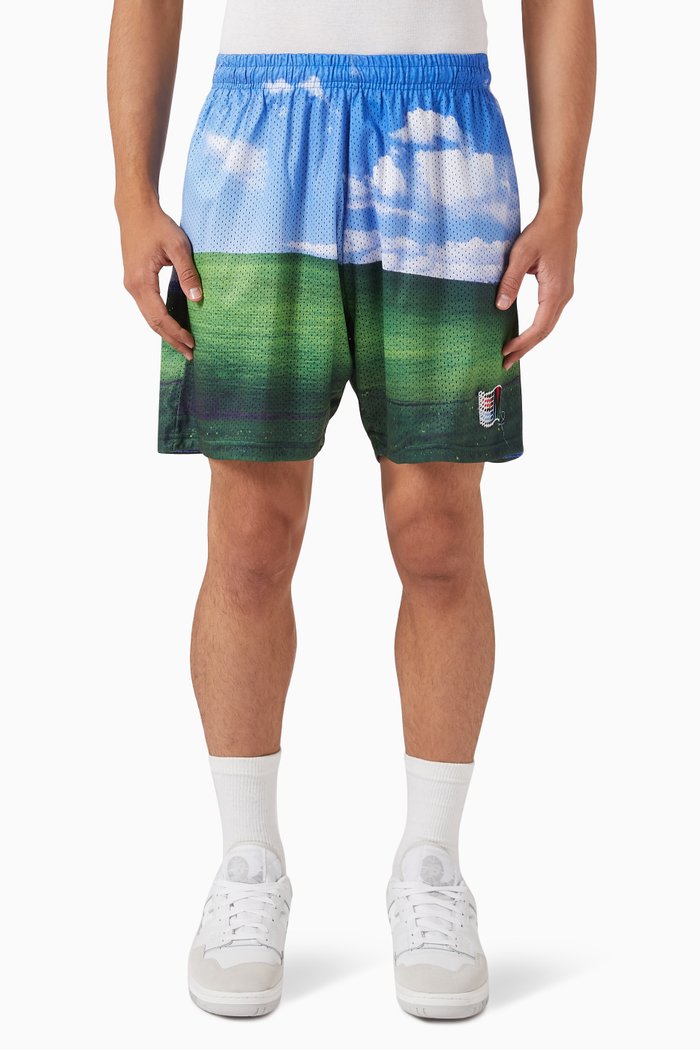 

Bliss Shorts in Mesh, Multicolour
