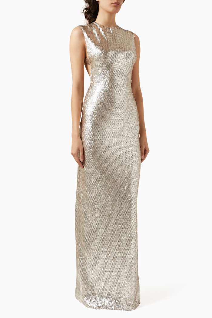 

Saurien Maxi Dress in Embroidered-paillette, Silver