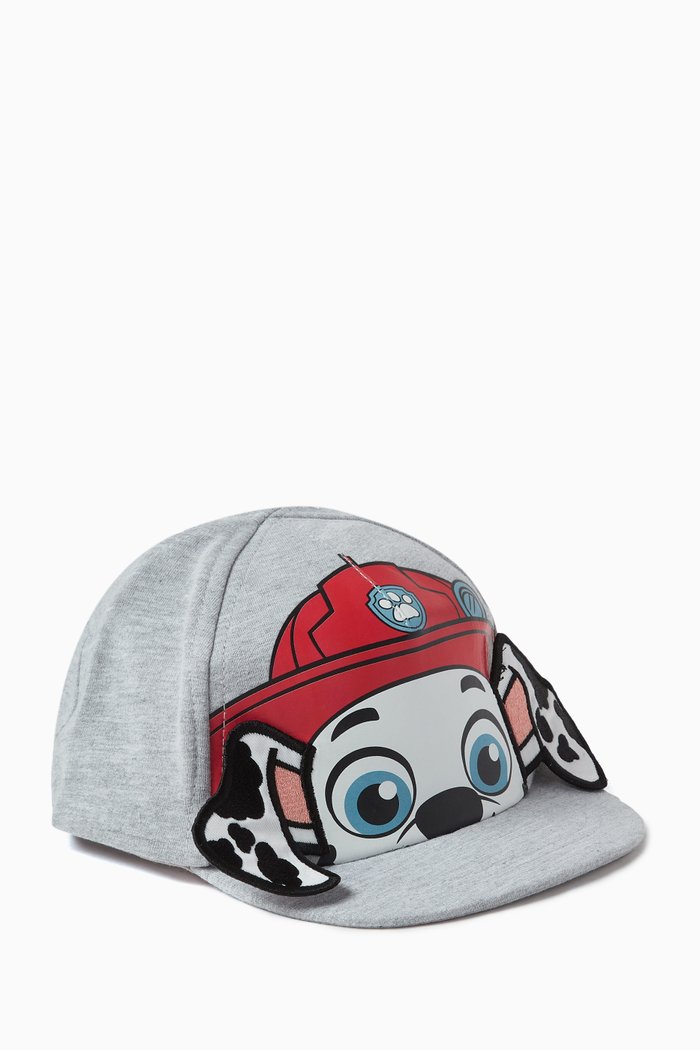 

Paw Patrol Baseball Cap in Cotton, Grey