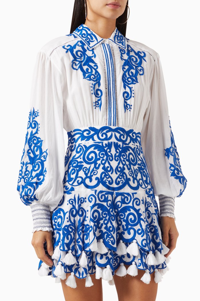 Loryn Embroidered Mini Dress in Cotton-poplin, Blue