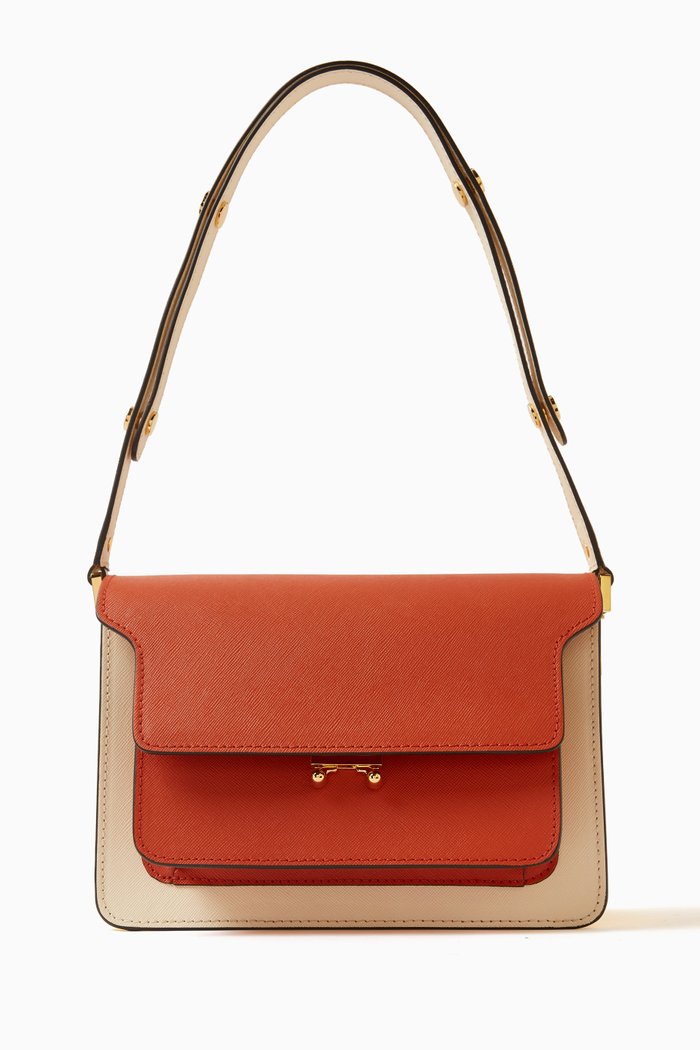 

Medium Trunk Bag in Saffiano Leather, Multicolour