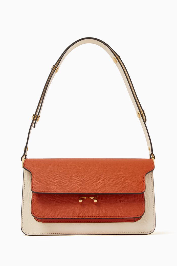 

East-West Trunk Bag in Saffiano Leather, Multicolour