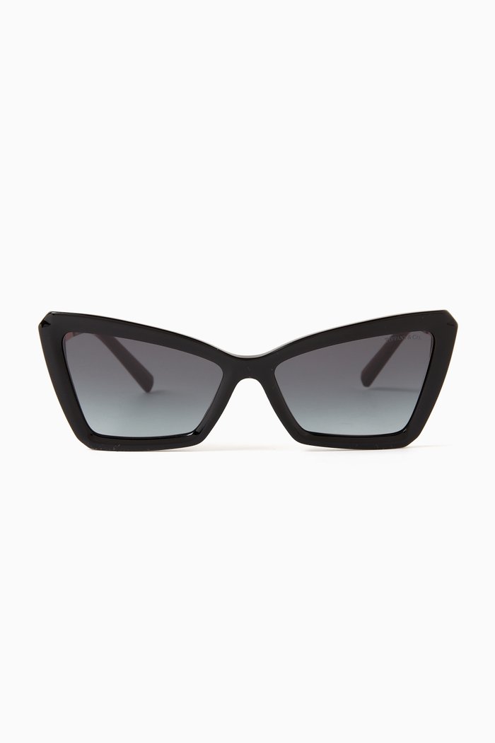 

Cat-eye Sunglasses in Acetate, Black