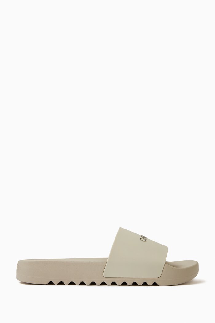 

City Logo Slides in TPU, Neutral