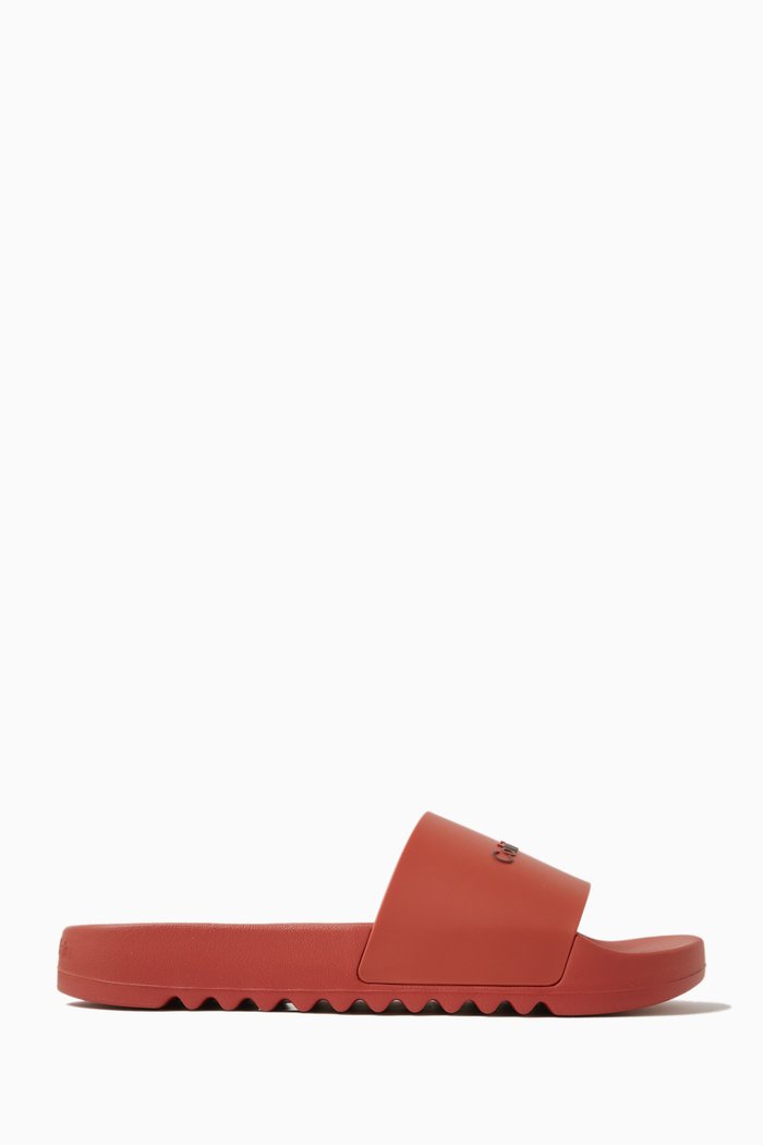

City Logo Slides in TPU, Orange