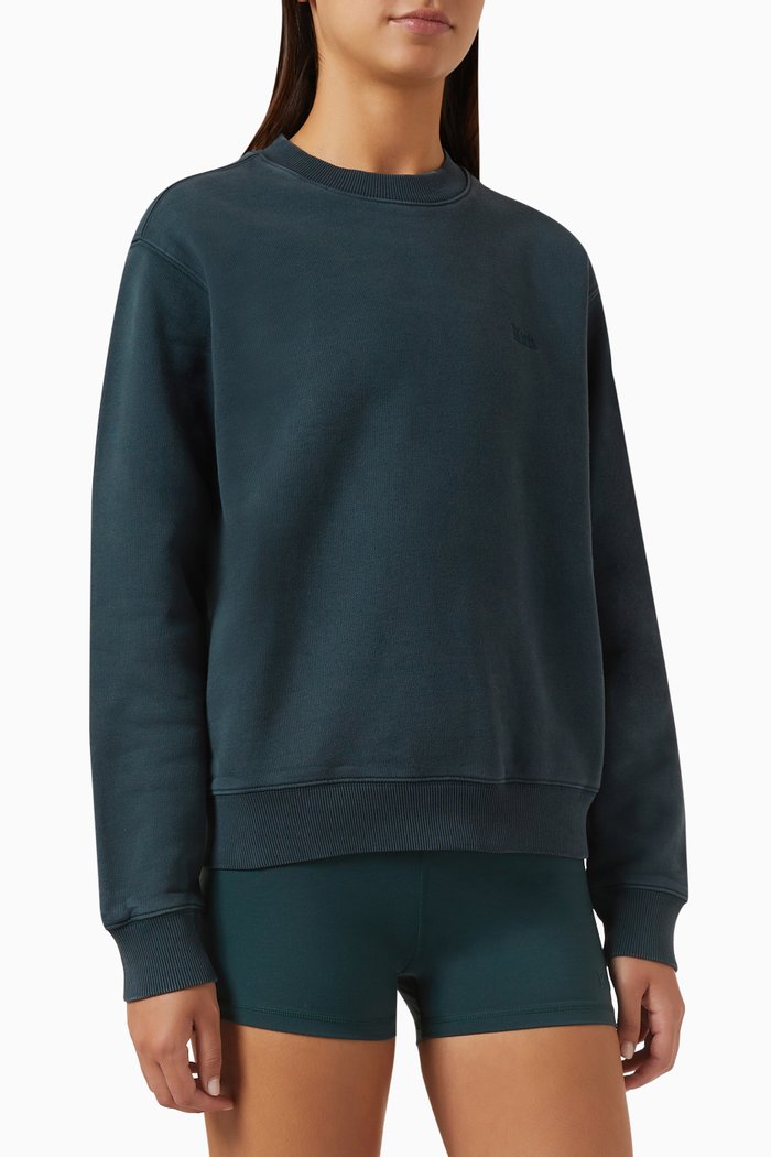 Asher Crewneck Sweatshirt in Cotton-fleece, Blue