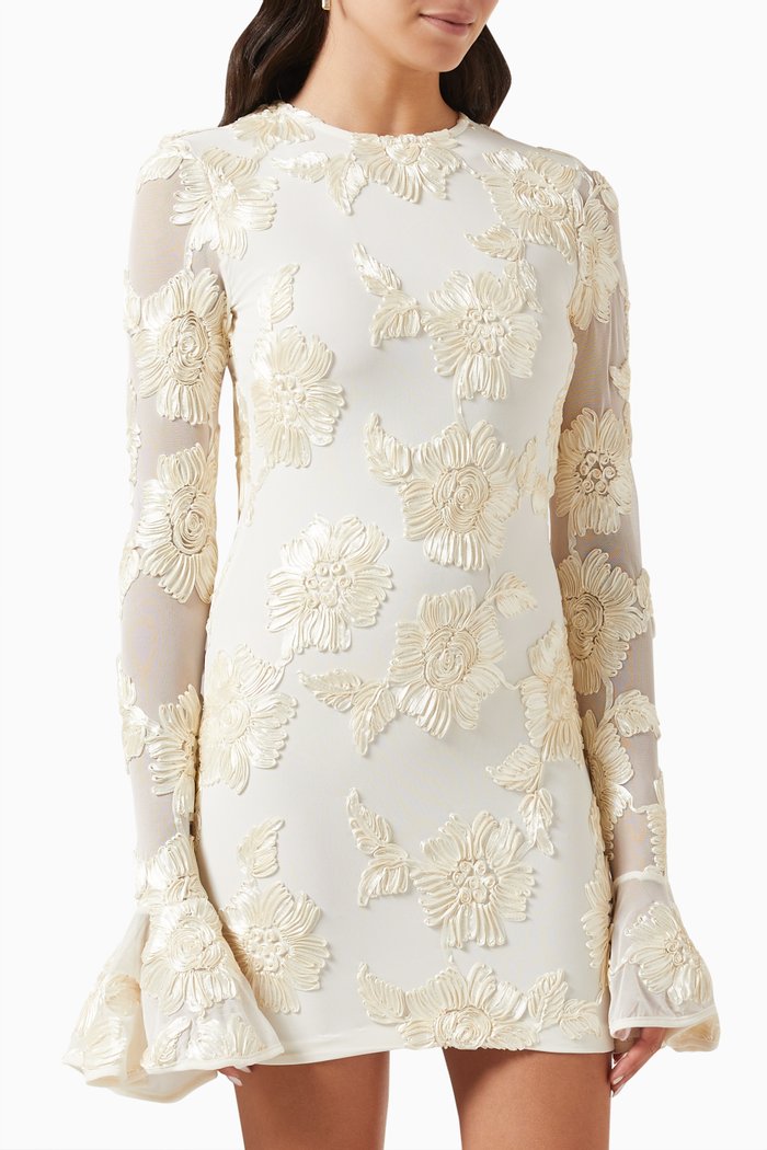 

Rosita 3D Floral-embroidered Mini Dress in Mesh, Neutral