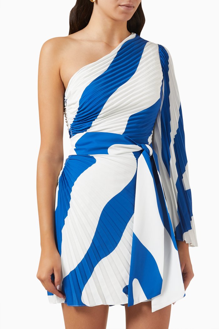 

Linden Pleated Mini Dress, White