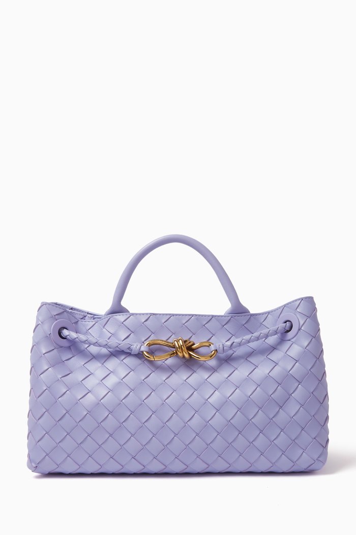 

Small Andiamo in Intrecciato Leather, Purple
