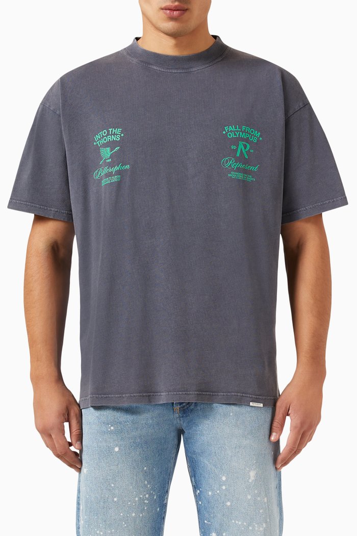 

Fall From Olympus T-shirt in Cotton-jersey, Grey