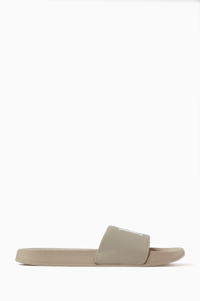 Serif Logo Slides, Neutral