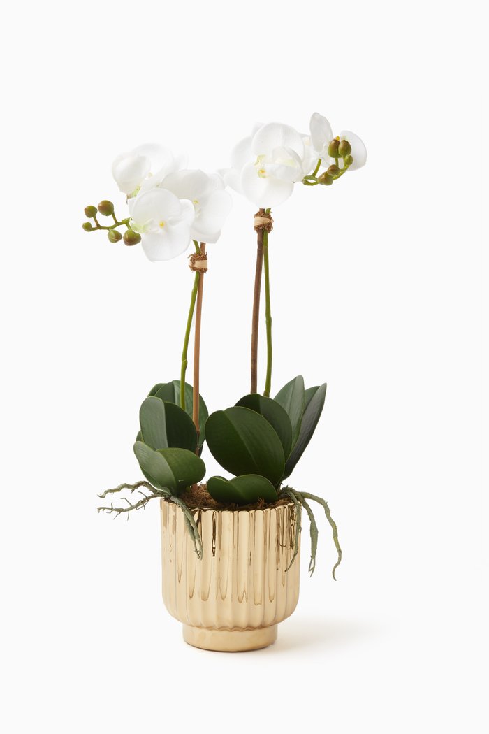 Artificial Orchid Small Arrangement in Golden Pot, White