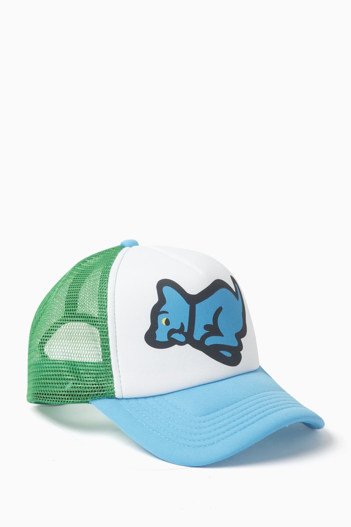 

Running Puppy Trucker Cap in Mesh, Blue