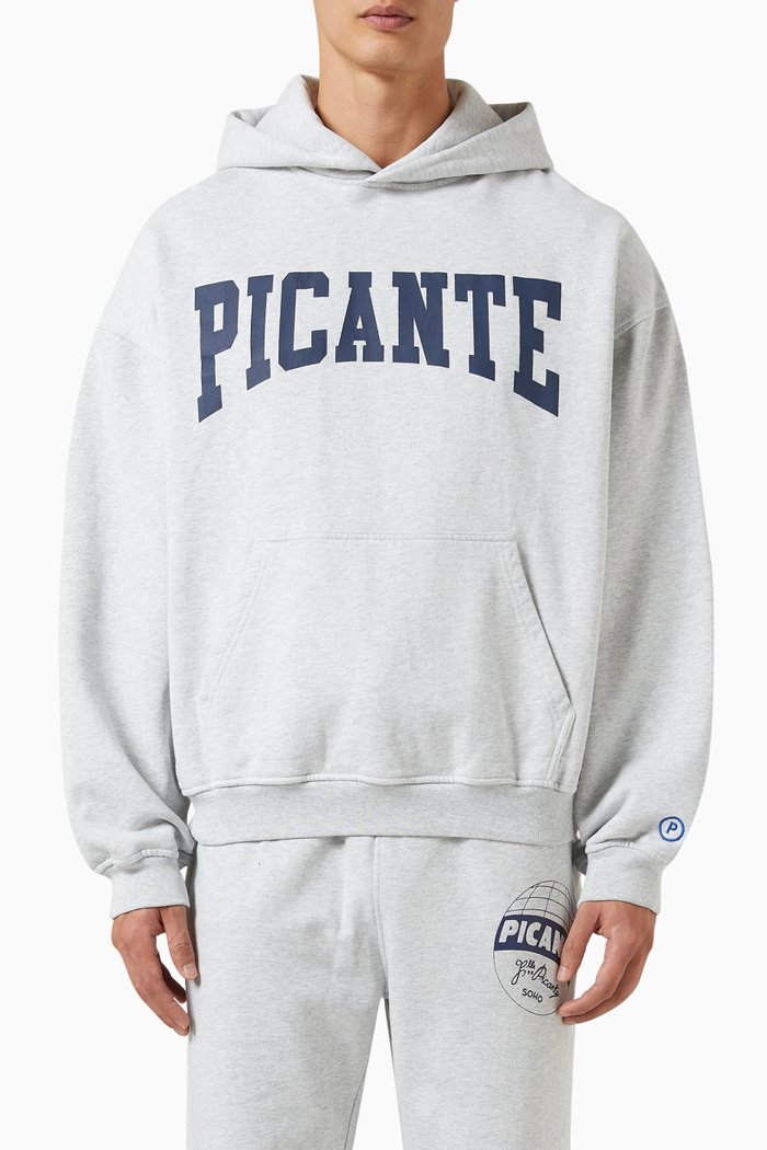 

Arch Hoodie in Fleece, Grey