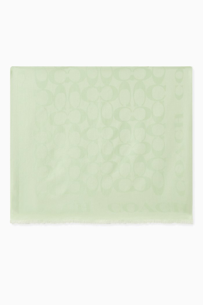 

Signature Stole in Silk & Cotton, Green