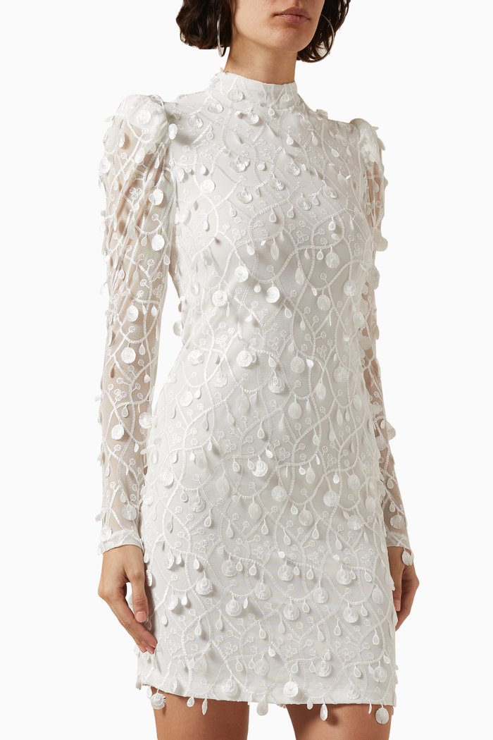 

Yasbeate Embroidered Mini Dress in Tulle, Neutral
