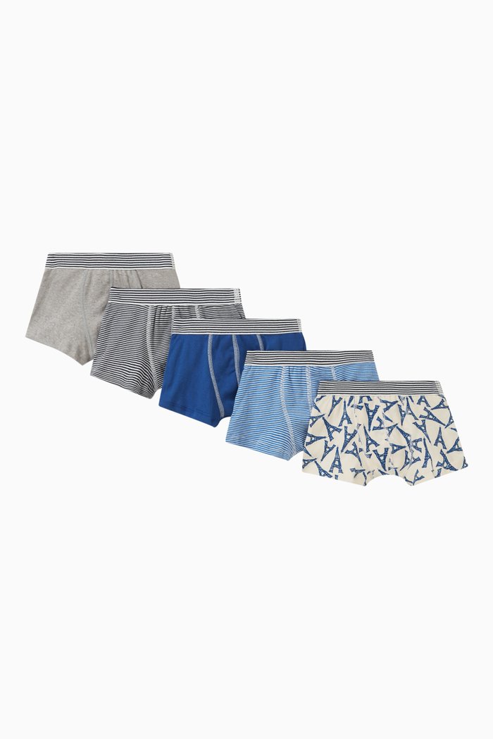 

Assorted Paris Boxer Shorts in Cotton, Set of 5, Multicolour