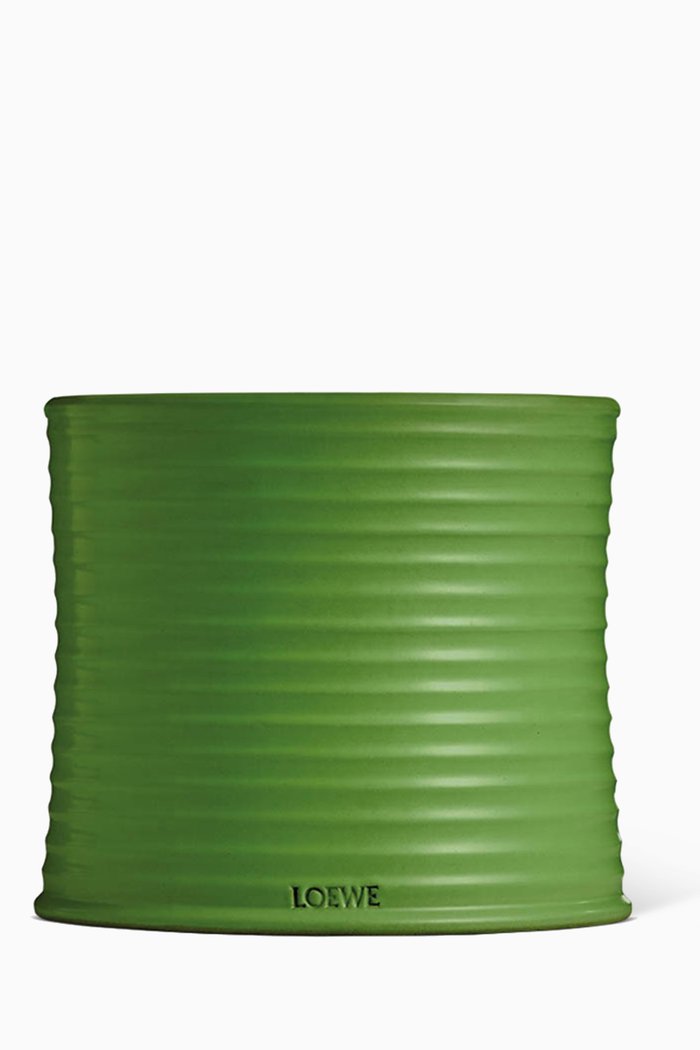 

Large Green Luscious Pea Scented Candle, 2120g, Colourless