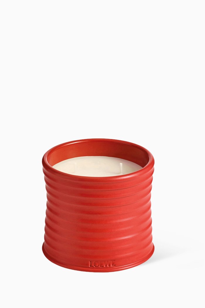 

Medium Tomato Leaves Scented Candle, 610g, Colourless