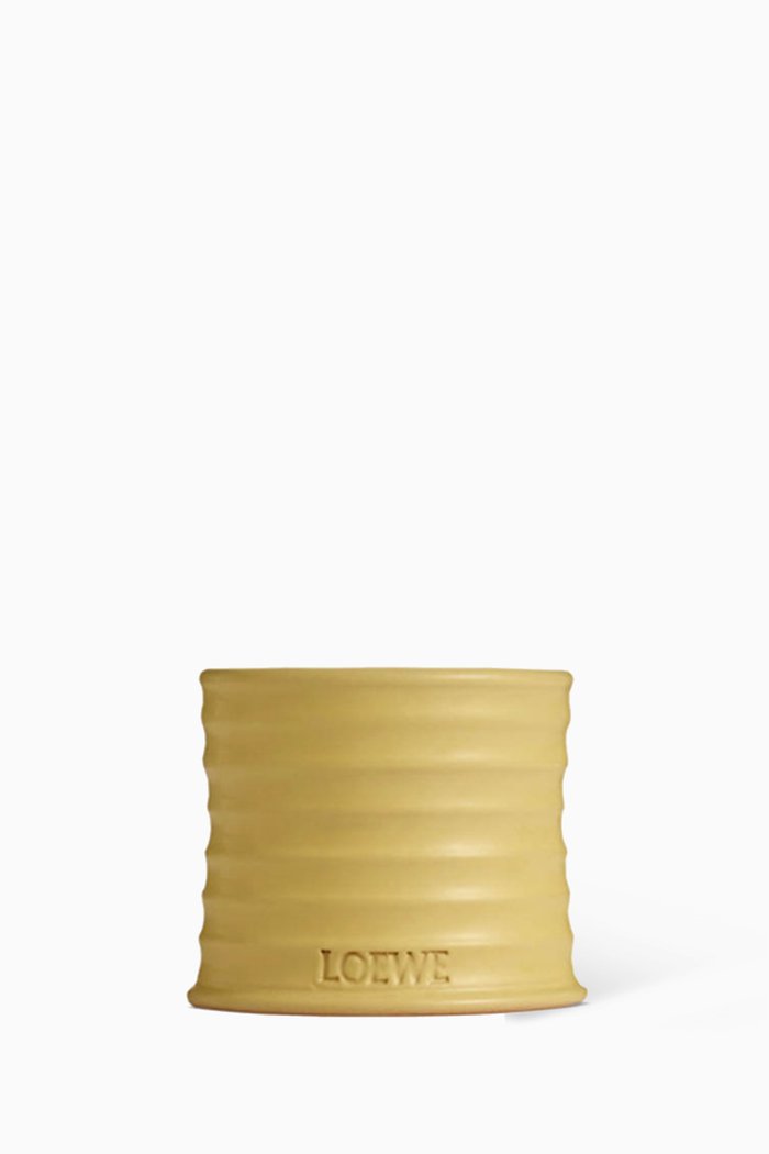 

Small Honeysuckle Scented Candle, 170g, Colourless