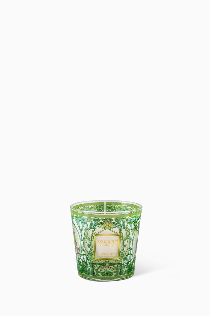 

My First Baobab Tomorrowland Candle, 190g, Colourless