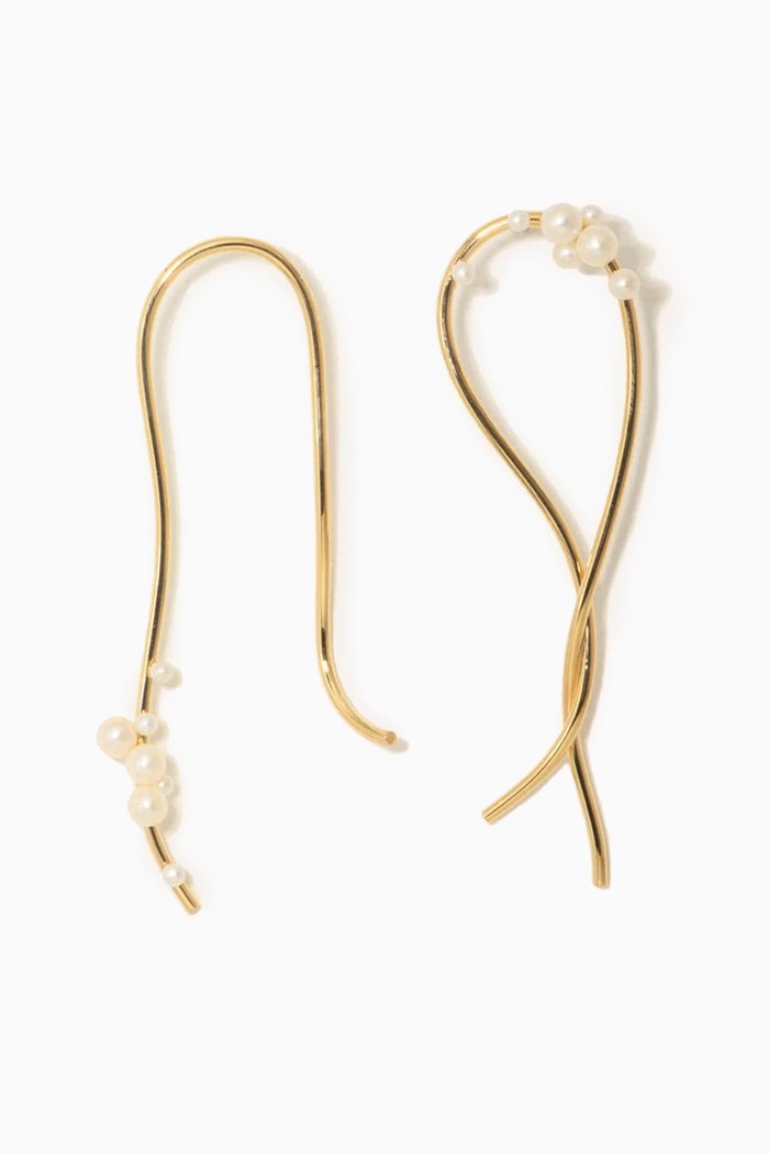 

Wild Relatives Earrings in 14kt Yellow Gold