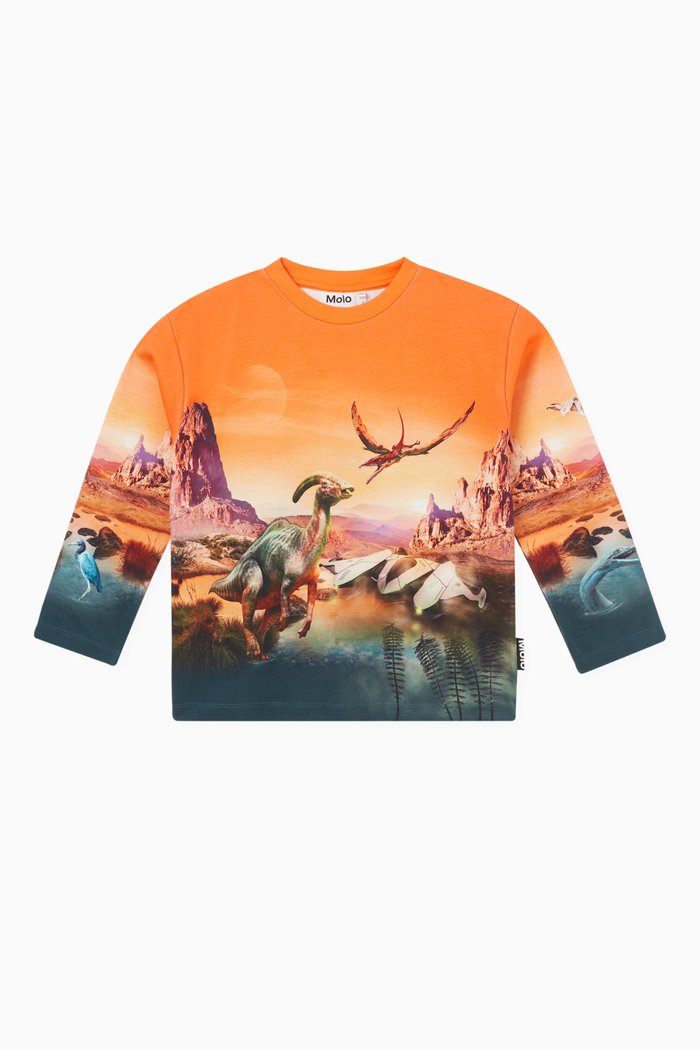 

Mountoo Dino-print Sweatshirt in Organic-cotton, Multicolour