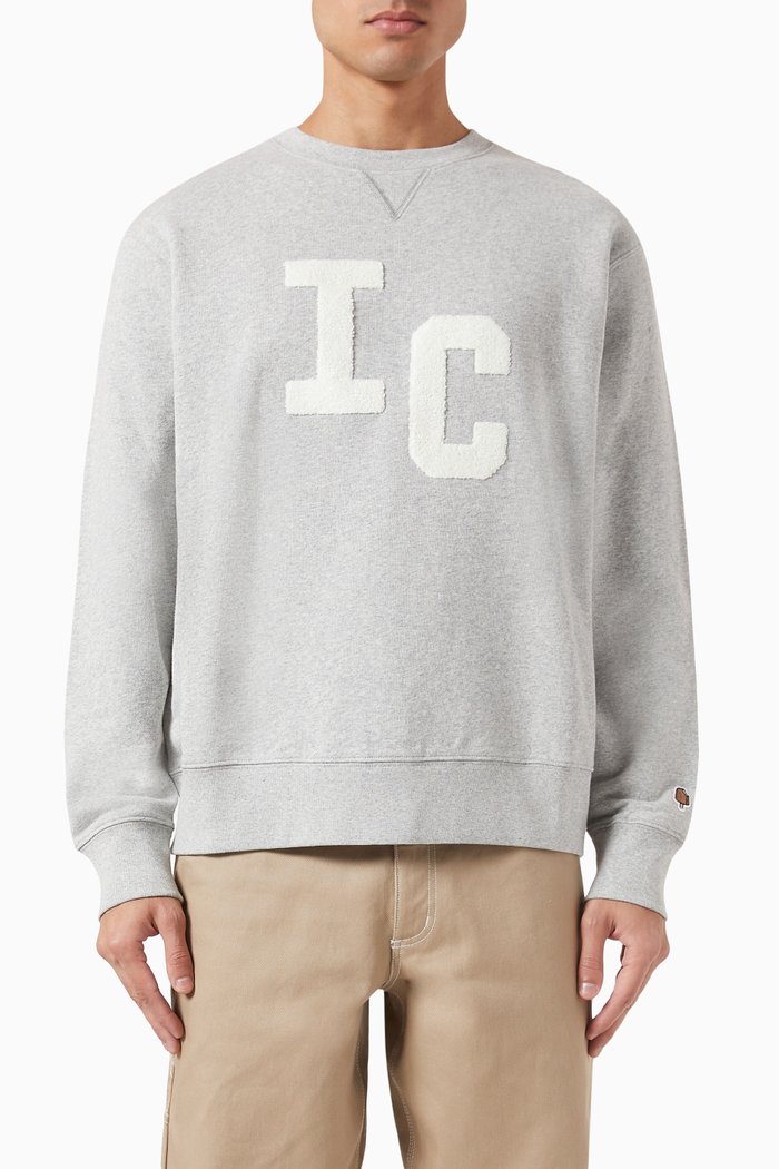 

IC Chenille Crewneck Sweatshirt, Grey
