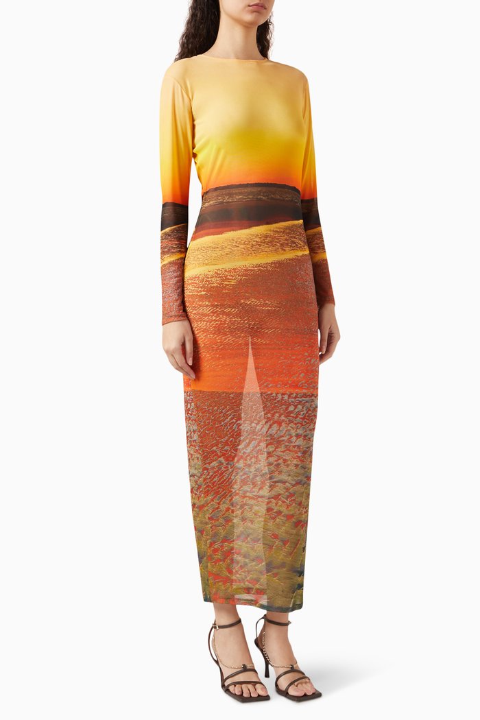

High Tide Printed Maxi Dress in Mesh, Orange