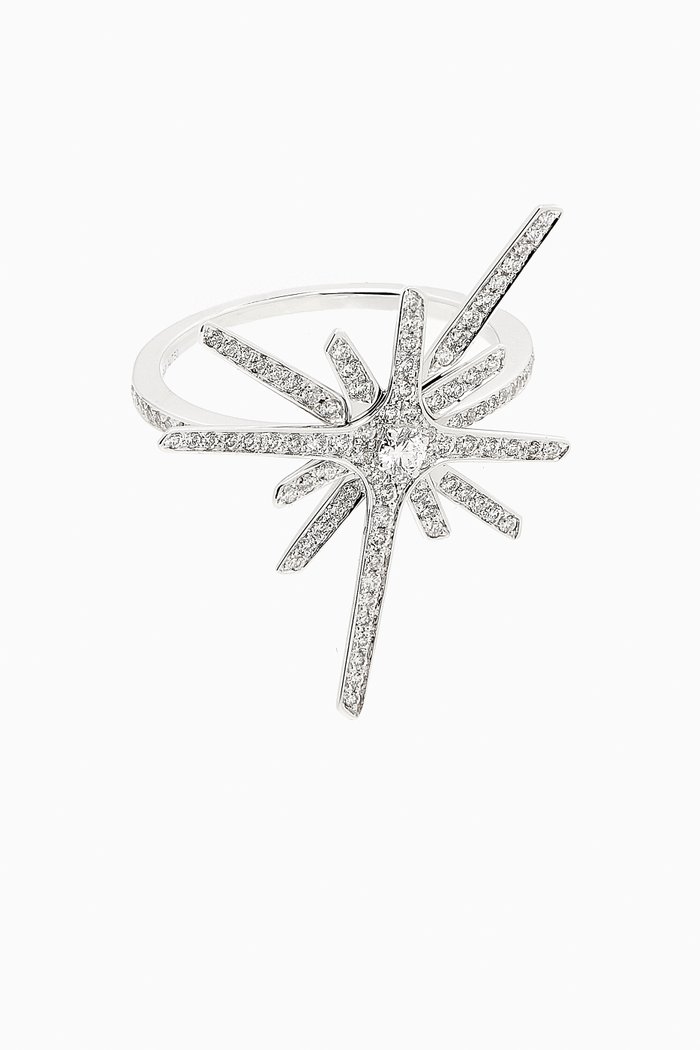 

Large Daw Diamond Ring in 18kt White Gold, Silver