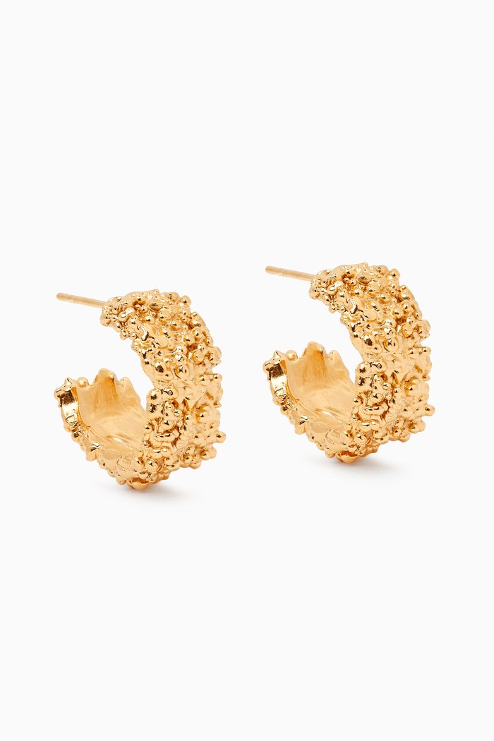 The Rocky Road Hoop Earrings in in 24kt Gold-plated Bronze