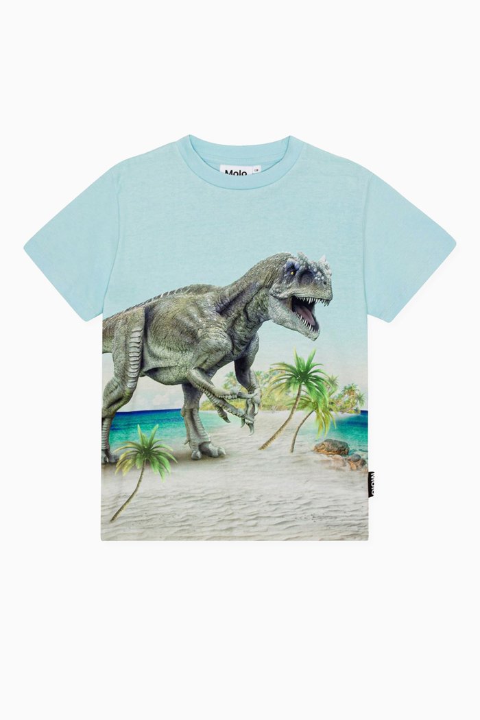 

Dinosaur print T-shirt in Organic Cotton, Blue