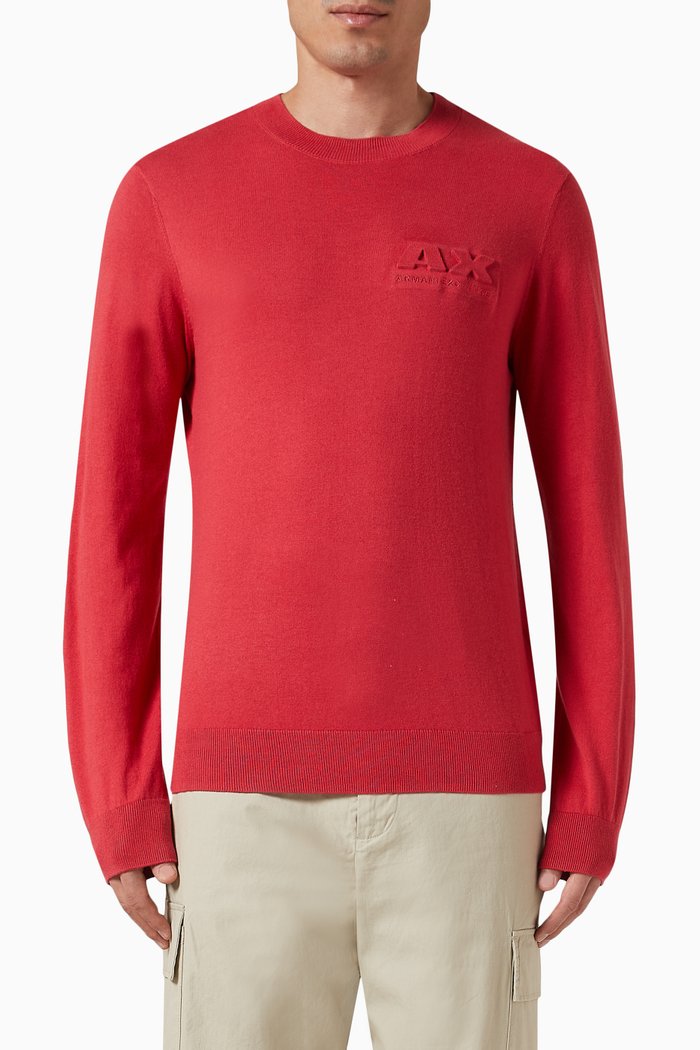 

Digital Desert Logo Sweater in Cotton-blend, Red
