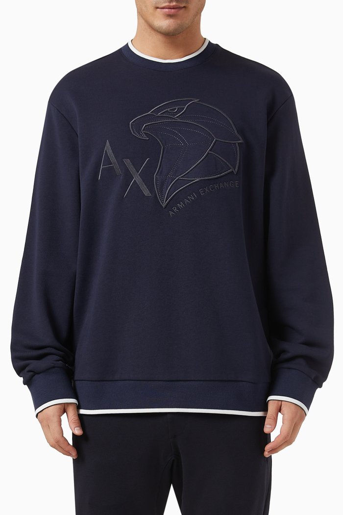 

Digital Desert AX Eagle Logo Sweatshirt in Cotton, Blue