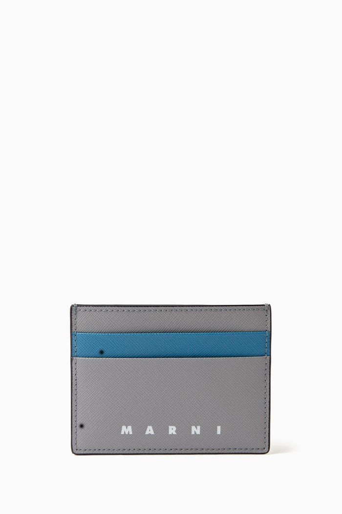 

Logo-print Card Case in Leather, Multicolour