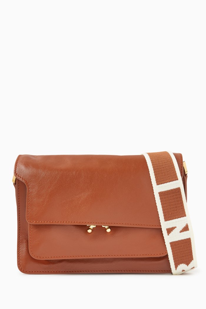 

Medium Trunk Crossbody Bag in Smooth Leather, Brown