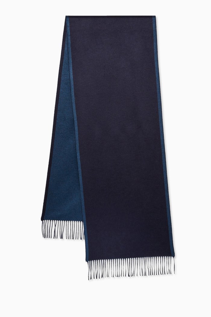 

Scarf With Fringes in Silk, Blue